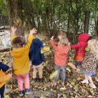 Herfst in het bos