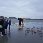 Vierde dag in Nieuwpoort. 