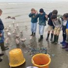 Vierde dag in Nieuwpoort. 