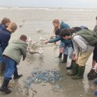 Vierde dag in Nieuwpoort. 