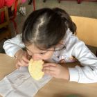 Thema pizza