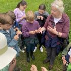 Wilde (bijen en) kindjes deel 1