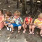 Vakantie