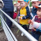 2kb - Uitstap naar de kinderboerderij 'De Campagne'