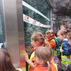 Op schoolreis naar de zoo van Antwerpen!