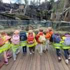 Op schoolreis naar de zoo van Antwerpen!