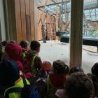 Op schoolreis naar de zoo van Antwerpen!