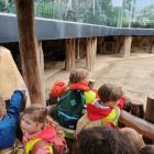 Op schoolreis naar de zoo van Antwerpen!