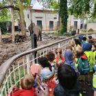 Op schoolreis naar de zoo van Antwerpen!