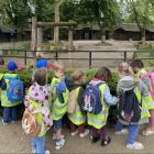 Op schoolreis naar de zoo van Antwerpen!