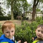 Op schoolreis naar de zoo van Antwerpen!