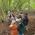 Heksen in het toverbos - 2ka