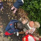 Herfst in het kabouterbos