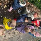 Herfst in het kabouterbos