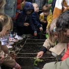 Een kleurrijk tuinproject