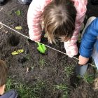 Een kleurrijk tuinproject