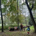 Herfstplezier in het Reinaertpark