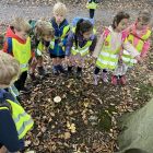 Herfstplezier in het Reinaertpark