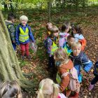 Herfstplezier in het Reinaertpark