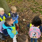 Herfstplezier in het Reinaertpark