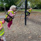 Herfstplezier in het Reinaertpark