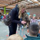 Uilen op bezoek in de derde kleuterklas