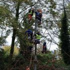 Uitstap naar het parkbos