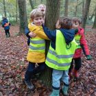 Uitstap naar het parkbos