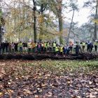 Uitstap naar het parkbos