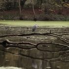 Uitstap naar het parkbos