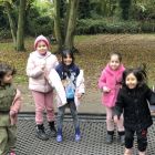 Uitstap naar het parkbos