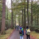Naar het bos!