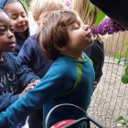 In de tuin - bloemen voor mama
