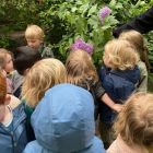 In de tuin - bloemen voor mama