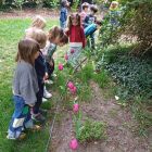 In de tuin - bloemen voor mama